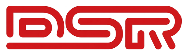DS Racing Karts logo