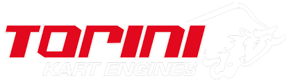 Torini logo